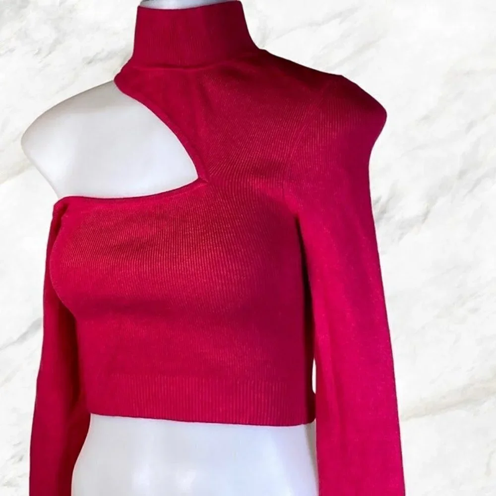 NBD Kyra Cropped Sweater - Raspberry